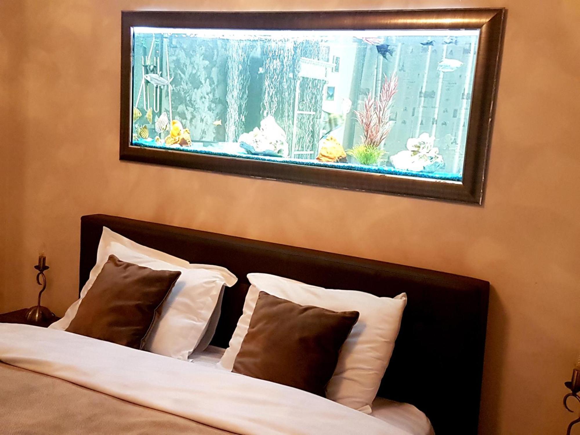 Magic Apartment Brasov Ngoại thất bức ảnh